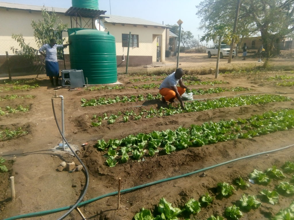 Environmental Club